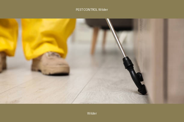 PEST CONTROL Wilder